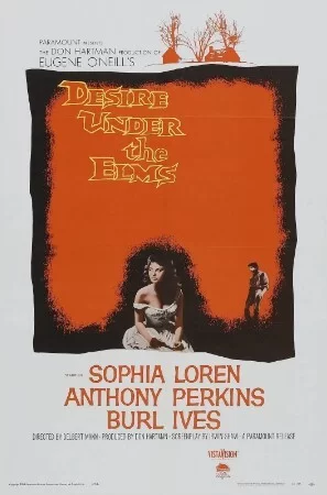 榆树下的欲望海报