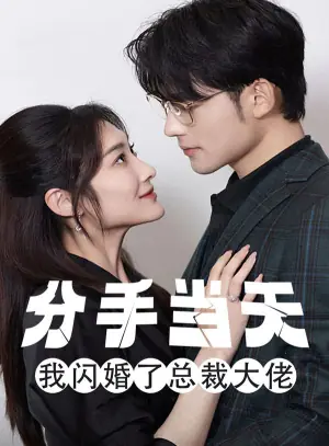 分手当天,我闪婚了总裁大佬海报
