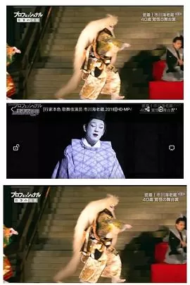 行家本色:歌舞伎演员市川海老藏[电影解说]海报