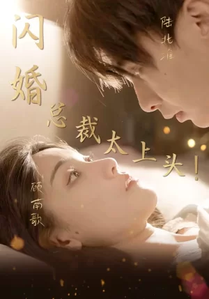 闪婚总裁太上头海报