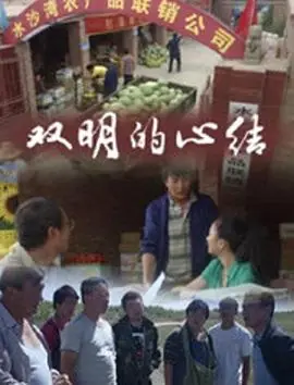 双明的心结海报
