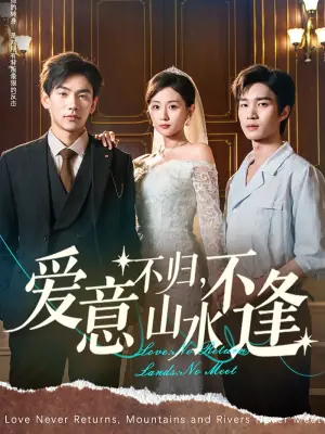 爱意不归,山水不逢海报