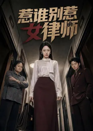 惹谁别惹女律师海报