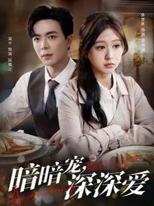 暗暗宠深深爱海报