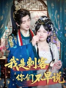 我是刺客你们不早说海报