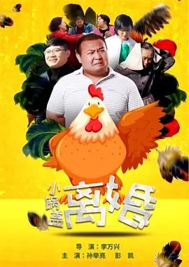 小锅盖离婚海报