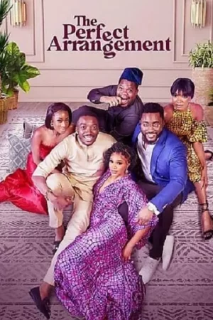 完美的安排海报