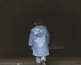 走失孩童录像带(短片版)海报