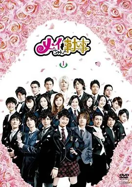 我的帅管家(国语)海报