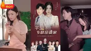 千金斗极品家婆海报