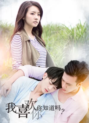 我喜欢你,你知道吗海报