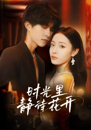 时光里静待花开海报