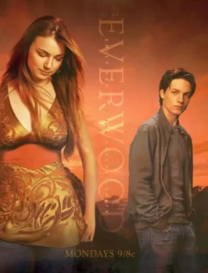 雪山镇第三季海报