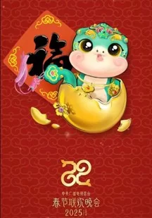 2025春节晚会海报