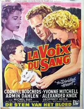 十年离乱孤血泪海报