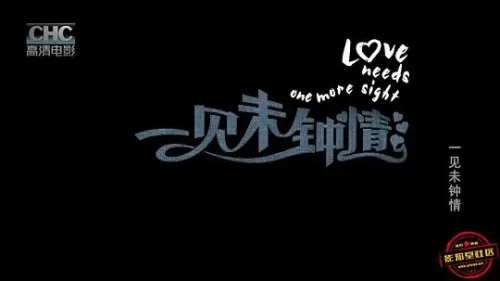 一见未钟情海报