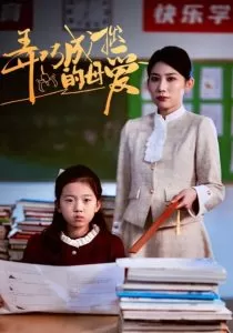 弄巧成拙的母爱海报