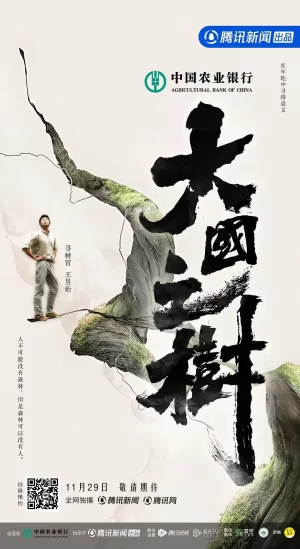 大国之树海报