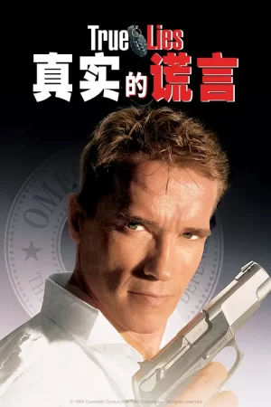 真实的谎言[影视解说]海报