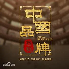 中国品牌档案海报