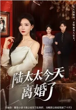 陆太太今天离婚了海报