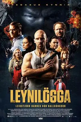 特警秘恋Leynil&ouml;gga海报