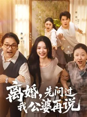 离婚,先问过我公婆再说海报