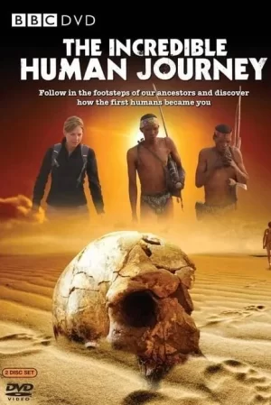 奇妙的人类旅程海报