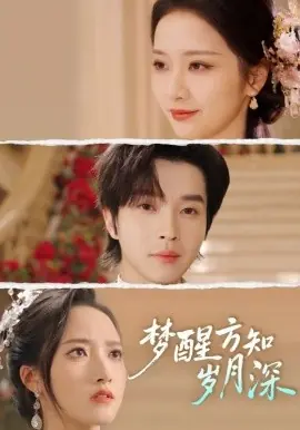 梦醒方知岁月深海报