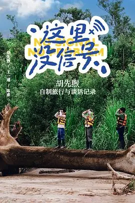 这里没信号海报