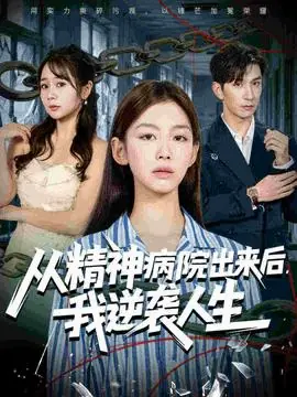 从精神病院出来后我逆袭人生海报