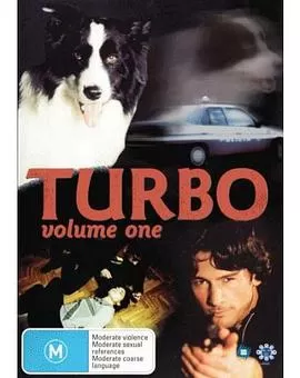 忠实的守护神海报