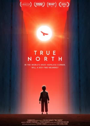 真实的北方海报