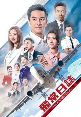 飞常日志海报