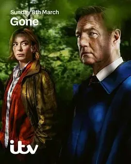 消失的妻子海报