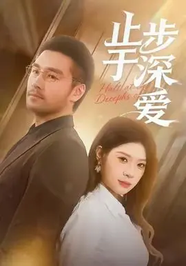 止步于深爱海报