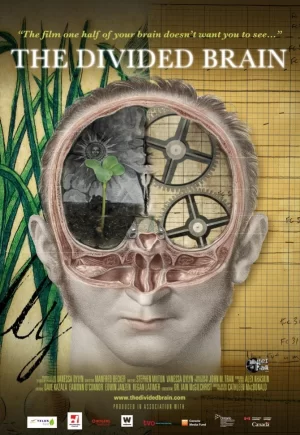 分裂的大脑海报
