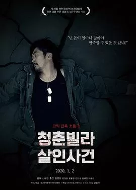青年别墅杀人事件海报