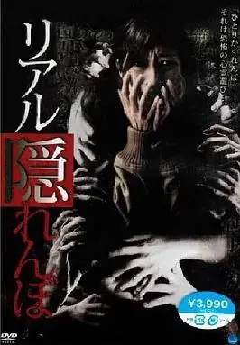 真实的捉迷藏海报