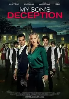 我儿子的骗局海报