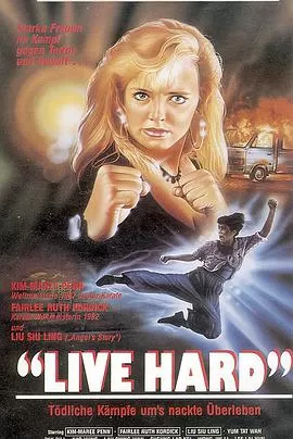 铁胆雄风(国语)海报