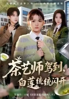 茶艺师驾到白莲统统闪开海报