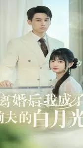 离婚后我成了前夫的白月光海报