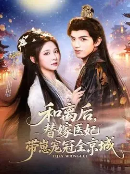 和离后,替嫁医妃带崽宠冠全京城海报