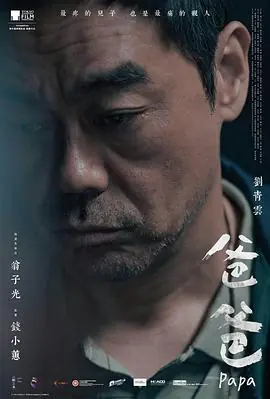 爸爸2015海报