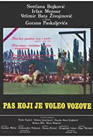 爱上火车的狗海报