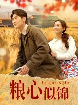 粮心似锦海报