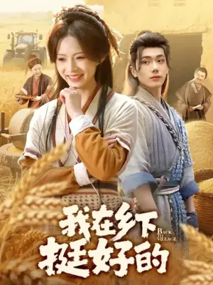 我在乡下挺好的海报