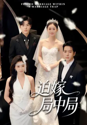 迫嫁局中局海报