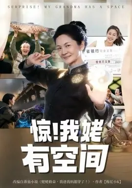 惊!我姥有空间海报